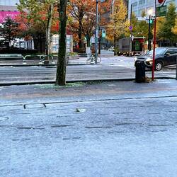 Changing leaves and snow. I have seen what i came here to see.