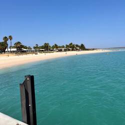 Monkey Mia beach