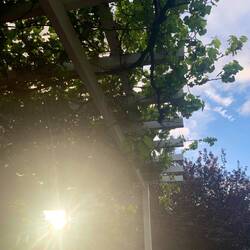 in love with this light