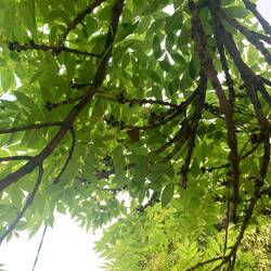 A butterfly landed right above us 🦋😍