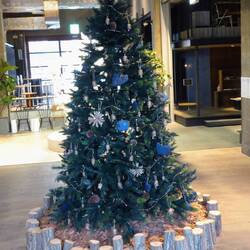 Im Hotel steht ein Weihnachtsbaum. Ist es wirklich schon wieder so weit?