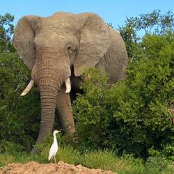 Hello Elli, finally!