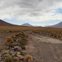 And washboard turned into stone