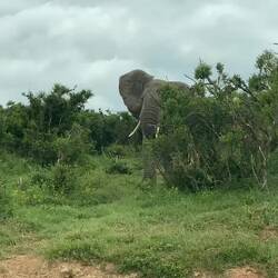 He was very excited to see his friends 🤣