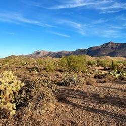 My view over morning coffee