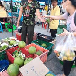 Drei große Pomelos für umgerechnet 2,70 €