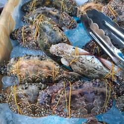 Krabben für die Pfanne