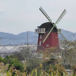 Plötzlich in Holland: Windmühle und Gewächshäuser.