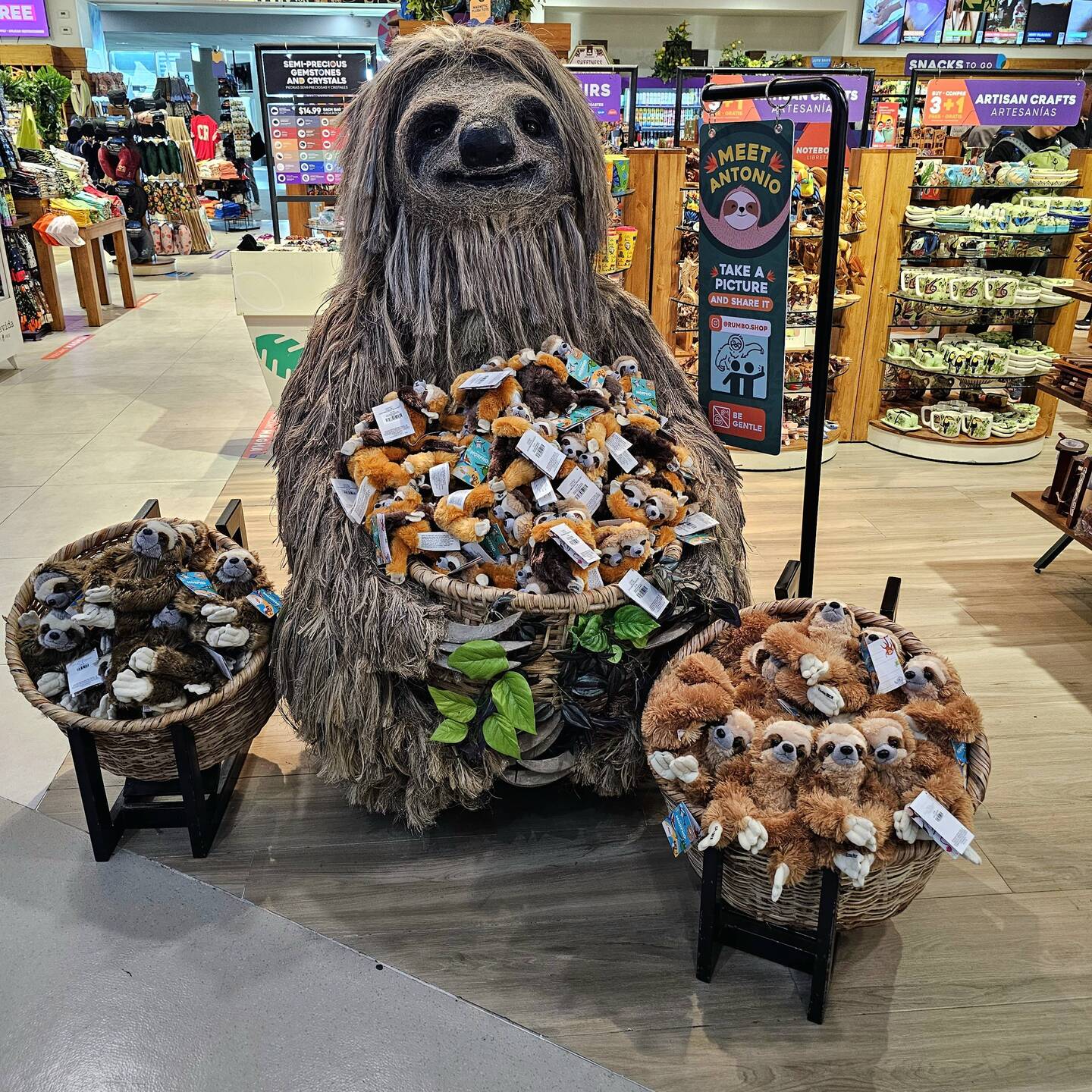 letzte Gelegenheit, sich noch mit Stoff-Faultieren einzudecken 🫣😁