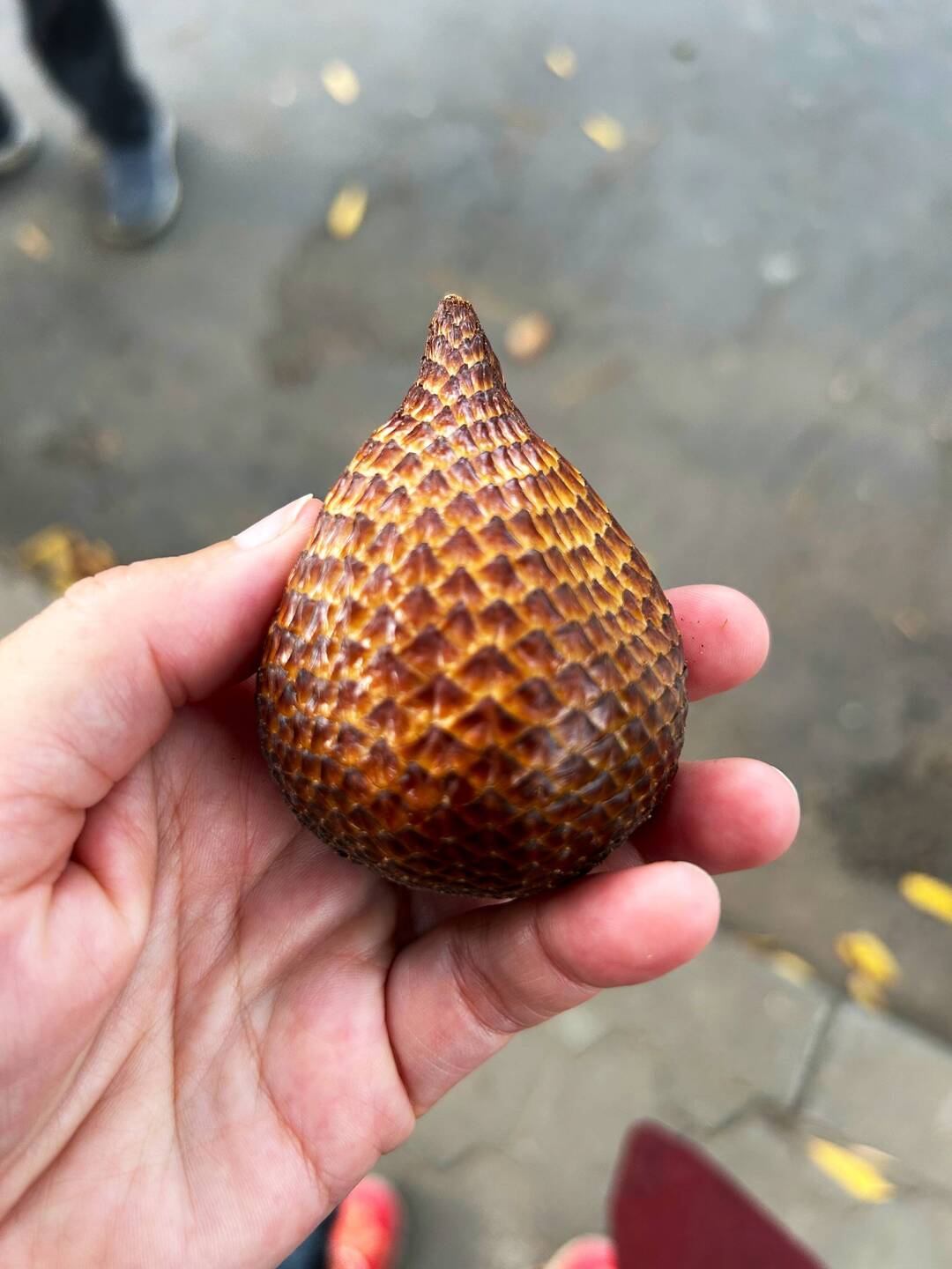 Salak