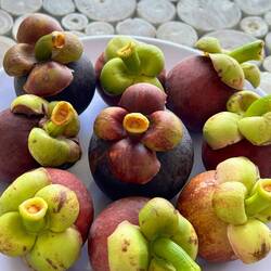 Mangostan/Mangosteen