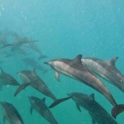 ❤️🦈❤️🦈❤️🦈
