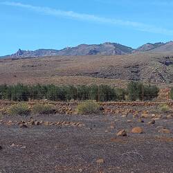 Blick auf die höchsten Berge