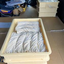 Fresh udon noodles being delivered