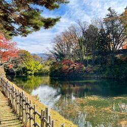 Colorful trees near the moat of Tsuruga-Jo castle in Aizu-Wakamatsu