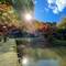 A fish pond in the park surrounding Nihonmatsu castle
