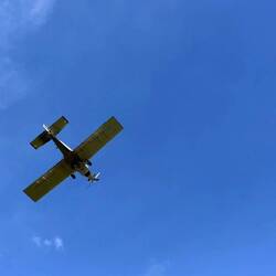 Dusty flew over whilst we were having a swim