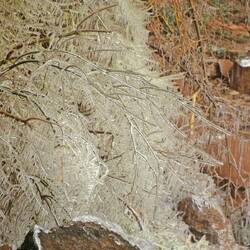 Ziemlich spektakulär, fanden wir.