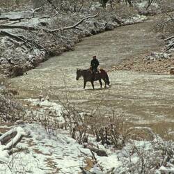 Wild West Feeling inclusive