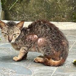 in den hab ich mich verliebt. und musste ihn dalassen 💔