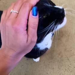 Akuma was happy we came around again too 😊