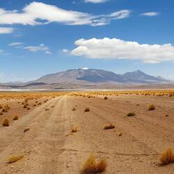 Sandy washboard or washboarded sand?