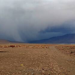 Yet another thunderstorm