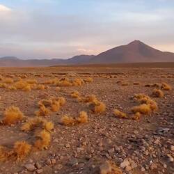 Colours after the storm