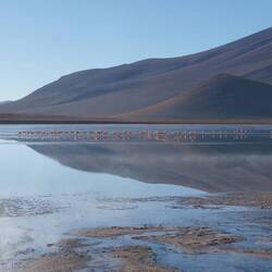 Laguna Chalviri with hot springs