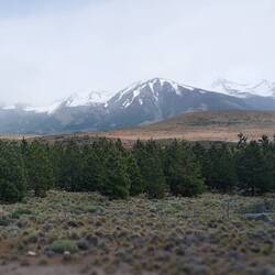 En route: view of the Andes