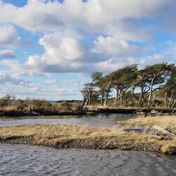 Und den Bäumen sieht man definitiv an, aus welcher Richtung der Wind meist weht 😅