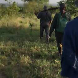 Not under arrest, I promise