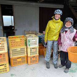 Friendly farmer selling mandarins and persimmons