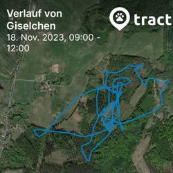 alles abgedeckt...