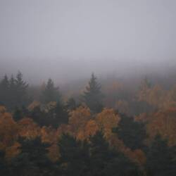 Sonnenberge im Nebel