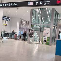 landed in Toronto
