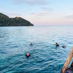Jetzt sind alle wieder an der Oberfläche 😄