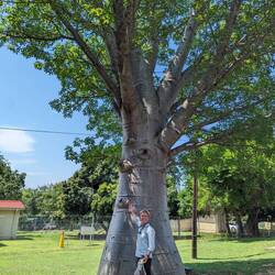 Boabab trees are fun