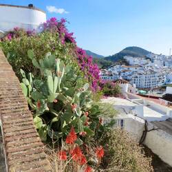 Frigiliana