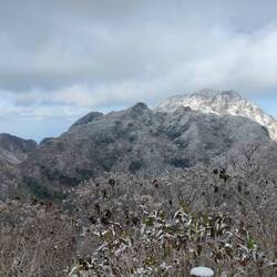 Heisei Shinzan kietelt de wolken.