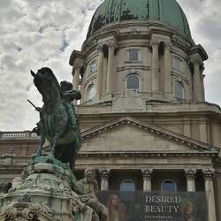 Eugenio di Savoia davanti al Castello