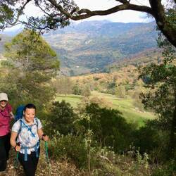 Prompting memories of American Pastoral