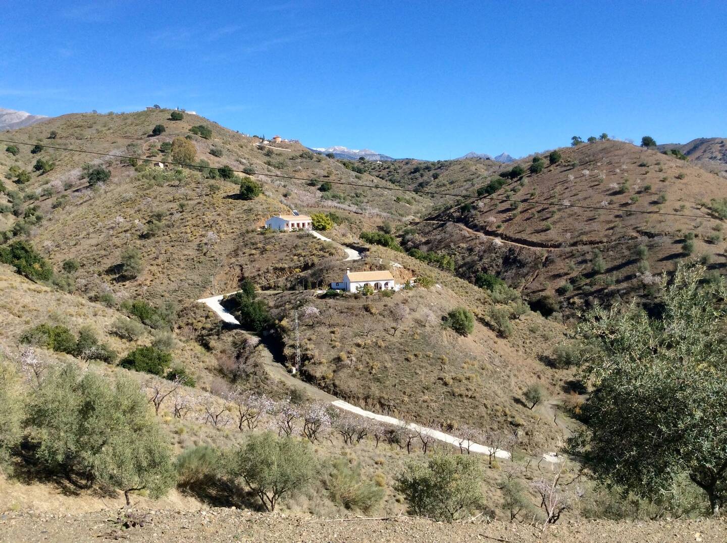 Finca Duende
