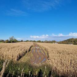 It felt relaxing to have wide open space around us