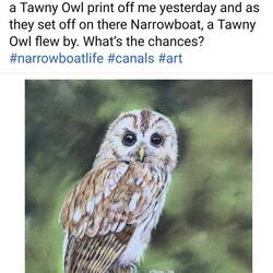 The beautiful Tawny Owl print we bought from Paul