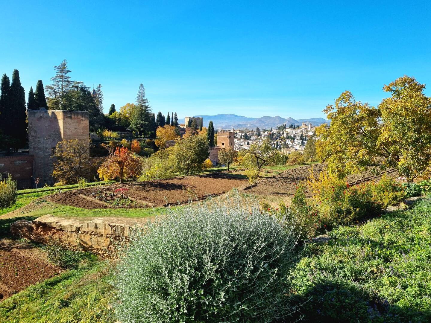 Obst- und Gemüsegärten in der Alhambra