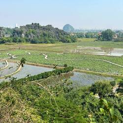 the lotus lake from above