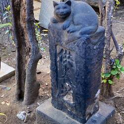 Not sure of this is a grave for a kitty or someone who loved kitties