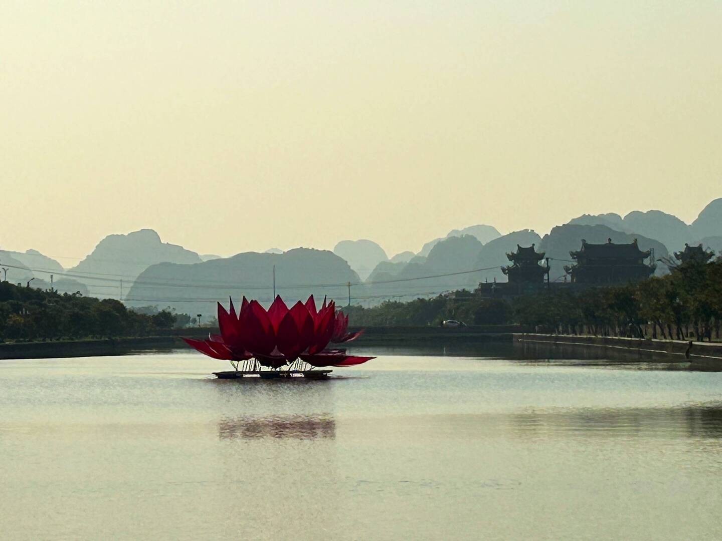 Lotus Flower Installation