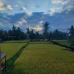 Sunrise view from my room.